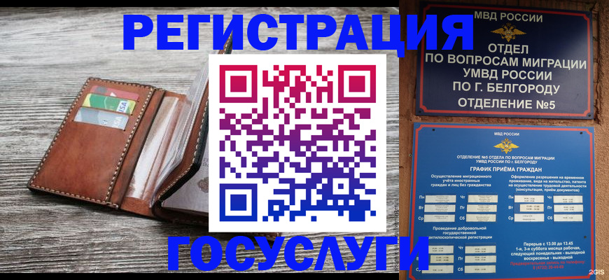 временная регистрация гарантия в Белокурихе